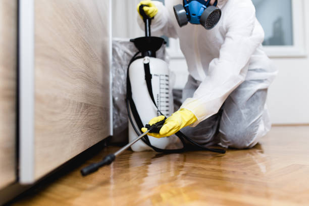 Best Pest Prevention Services  in Sevierville, TN