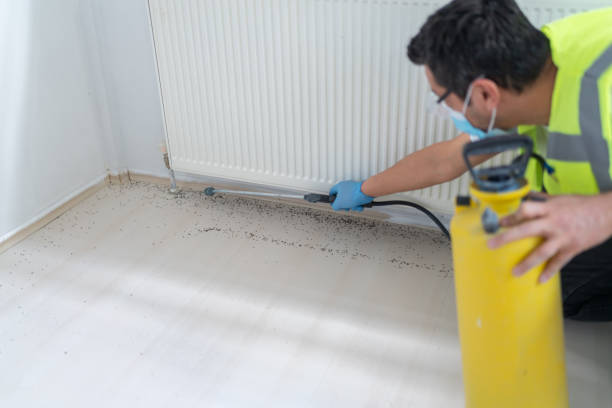 Best Best Pest Control Companies  in Sevierville, TN