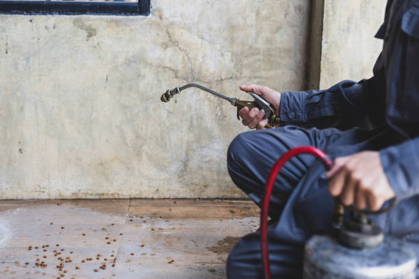 Best Pest Removal Services  in Sevierville, TN